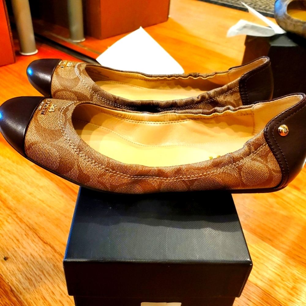 👞 shoes